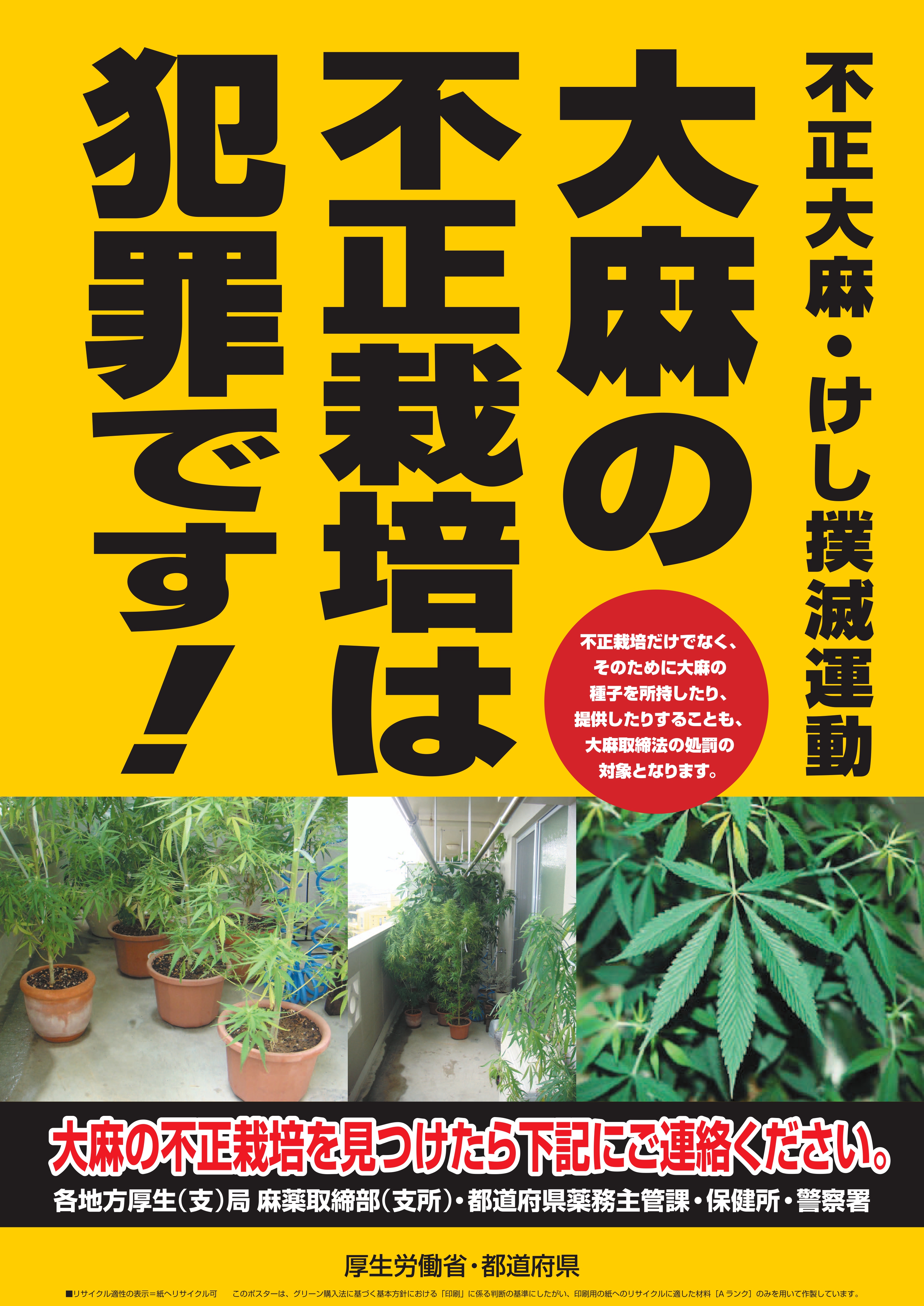 大麻ポスター