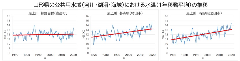水温一年移動平均の推移(代表地点)