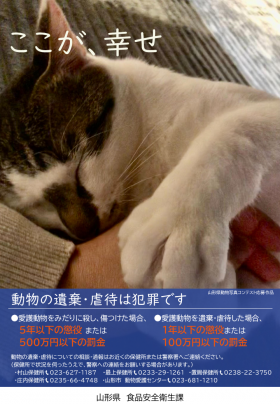 遺棄虐待防止2