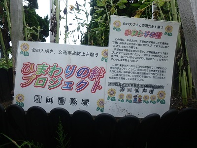 ひまわり4