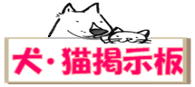 犬猫掲示版