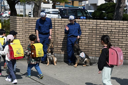 警察犬1