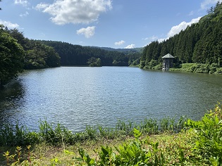 ため池