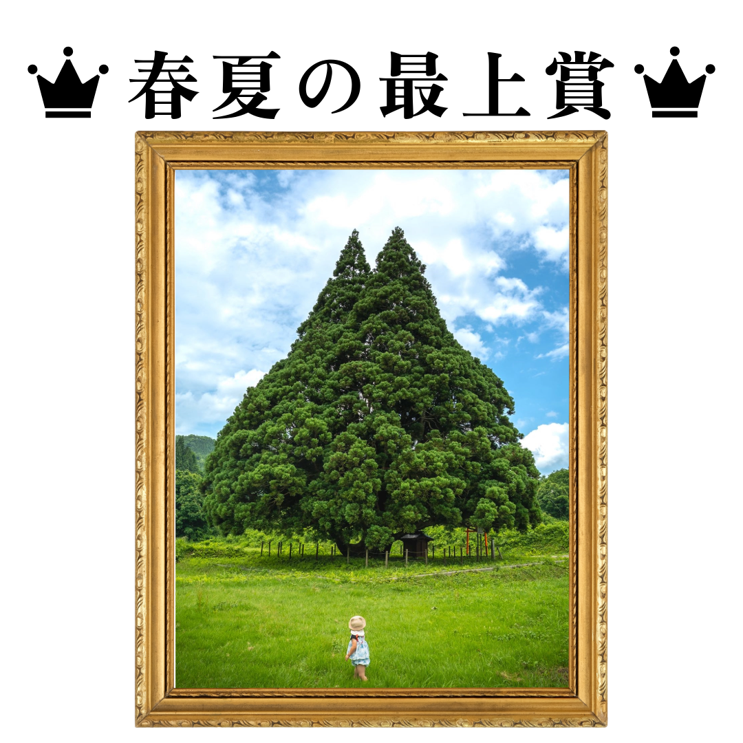 25spsu_mogami