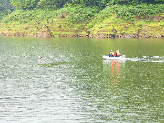 r80703_2