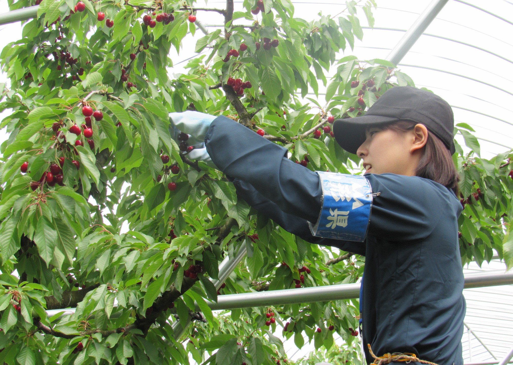R7新採研修(第2期)写真