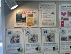 動物愛護3