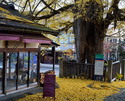 icho cafe(南陽市)